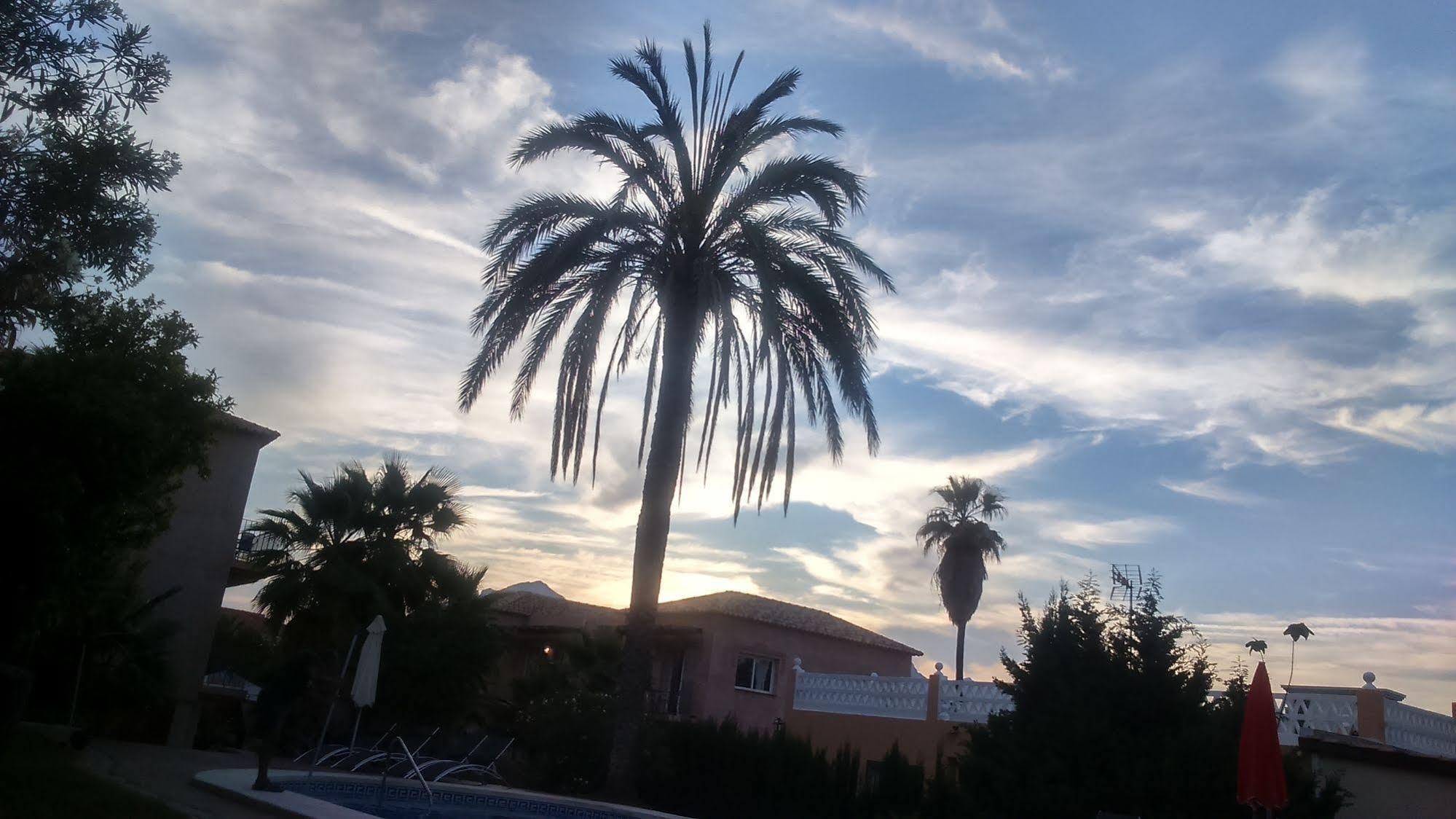 Apartamentos Mundaka Albir El Albir Eksteriør billede